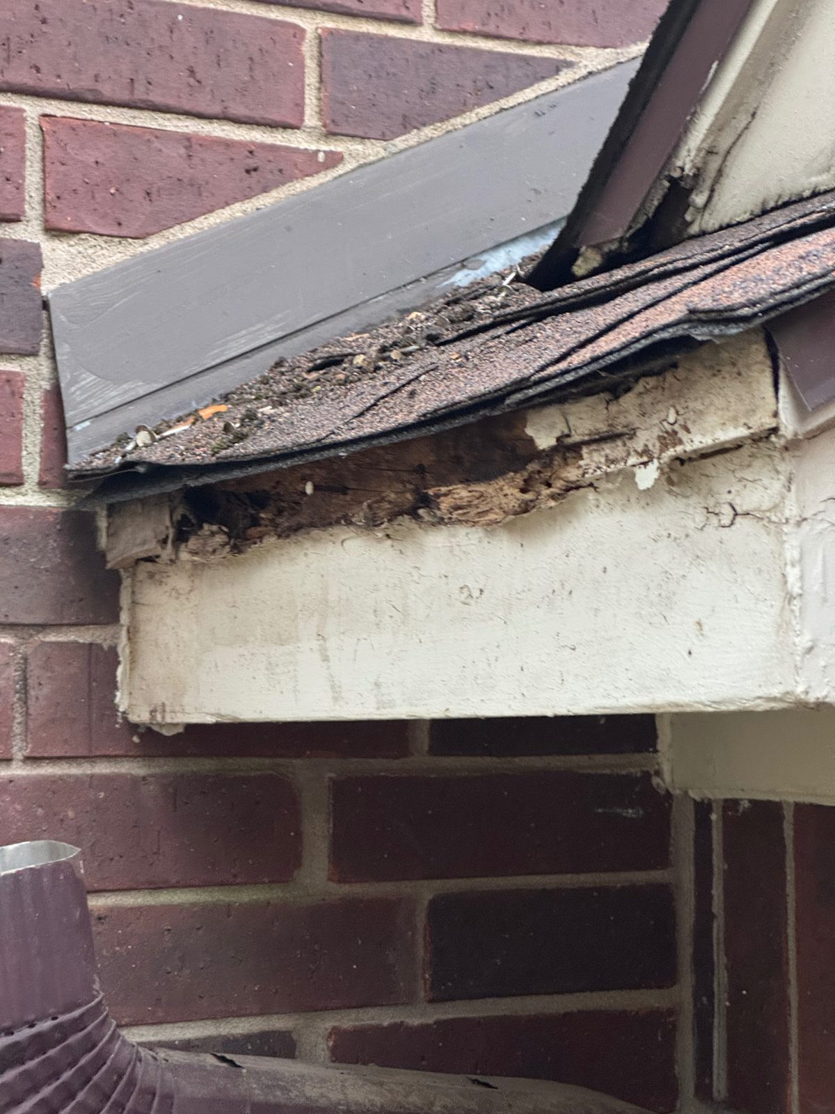 Rotted fascia board under the edge of the shingles, with the wood crumbling where water soaked in through failing paint.
