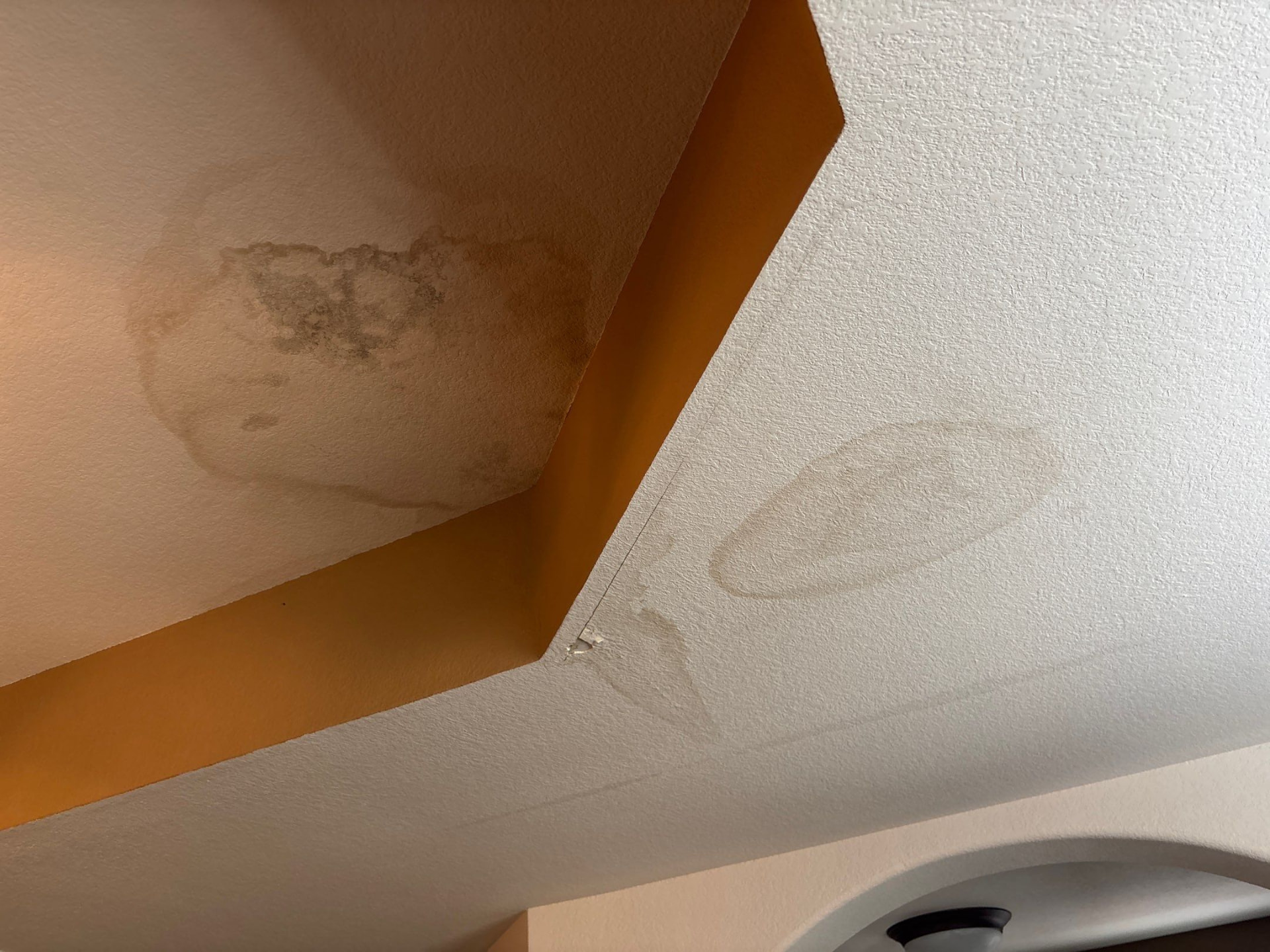 Water stains spreading across a textured ceiling in an Austin-area home
