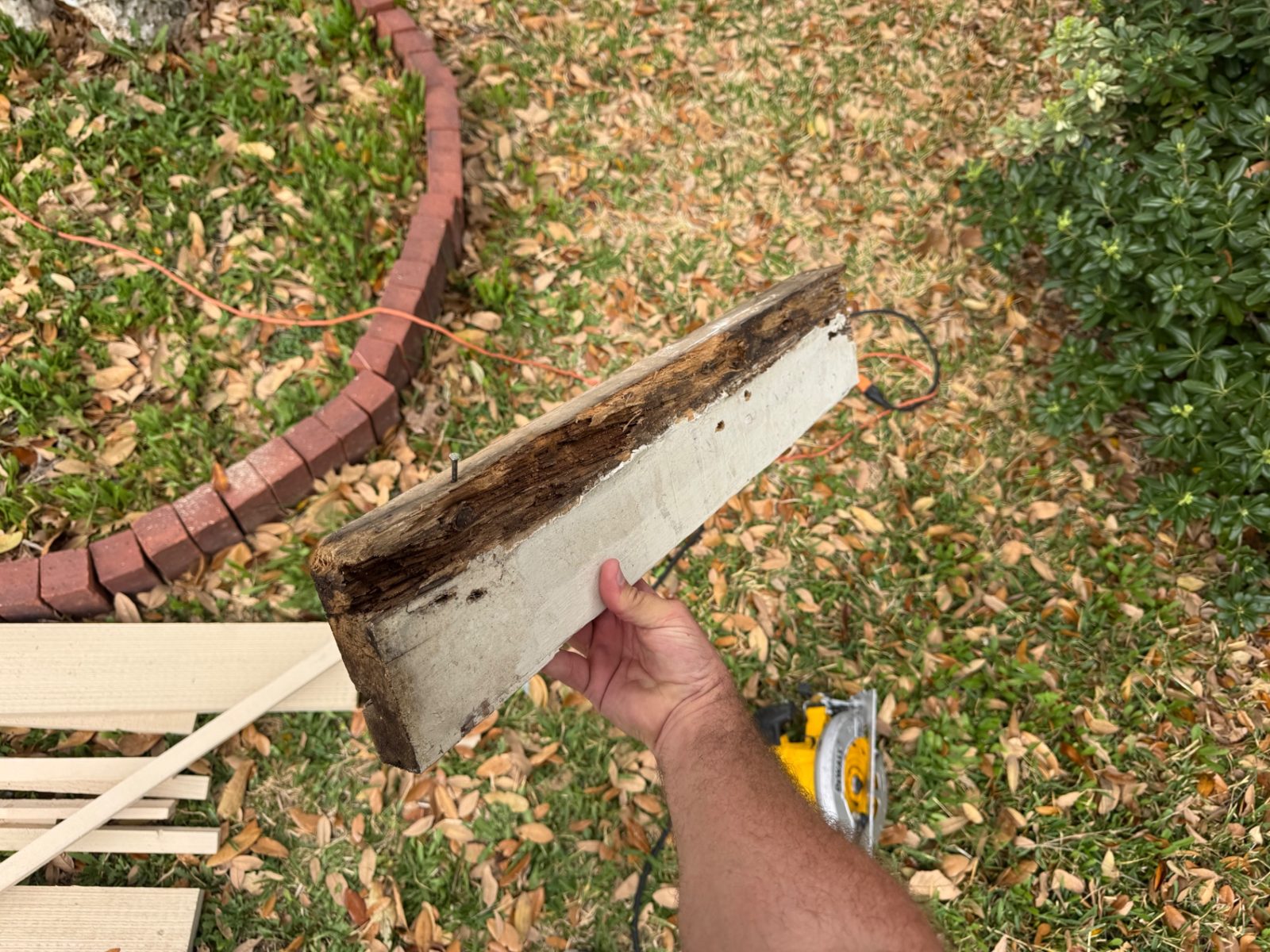A rotten trim board removed from the house, dark and soft along one edge, next to new trim boards ready to install.