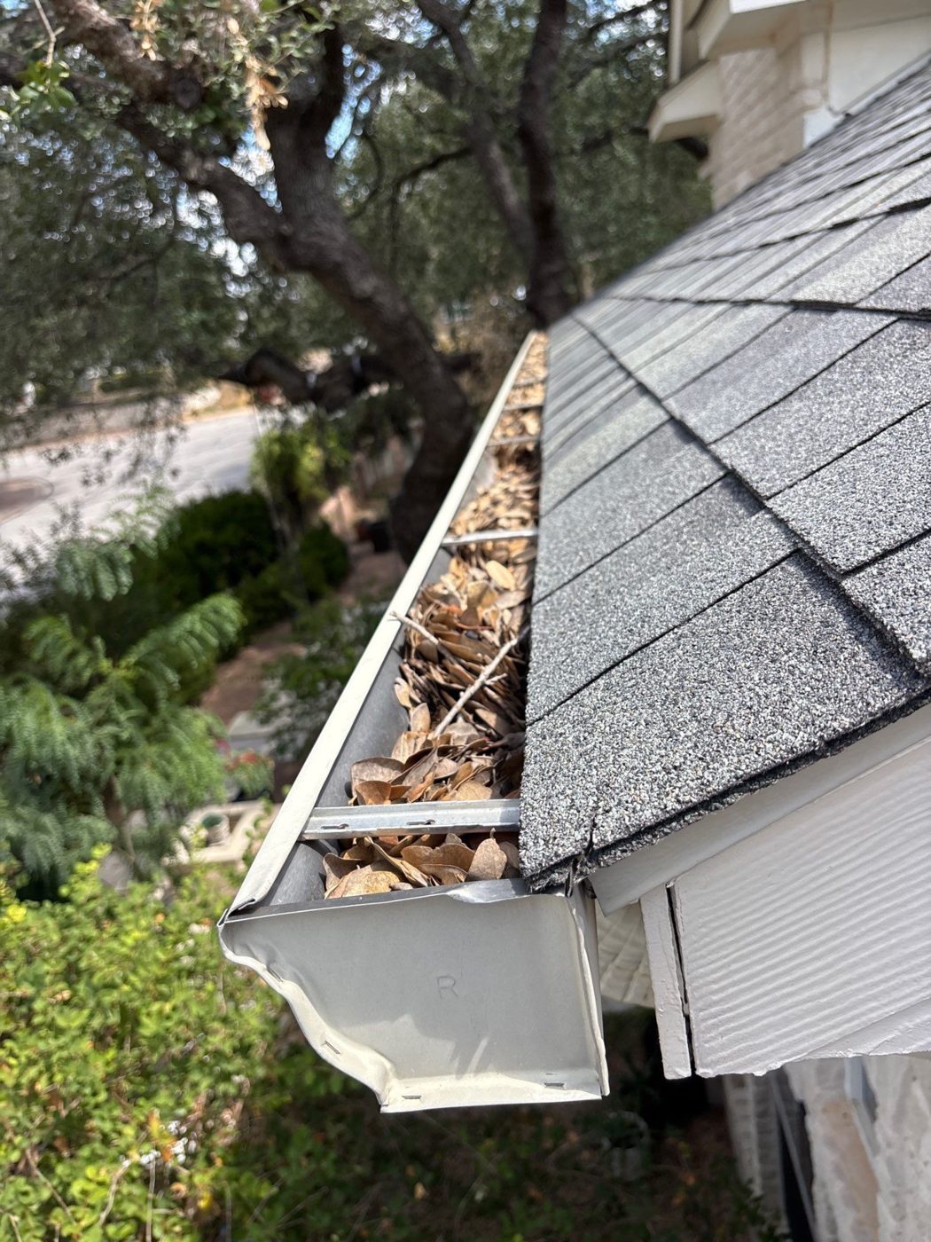 Before: a gutter packed with dry oak leaves and twigs under a large oak tree.